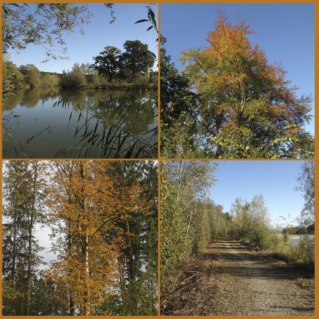 Durch die Renaturierung der Weitwörther Au entstand ein riesiges Naherholungsgebiet für die Salzburger. | Foto: BB