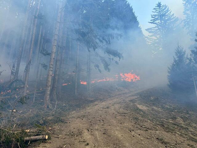 Foto: Feuerwehr Frankenfels