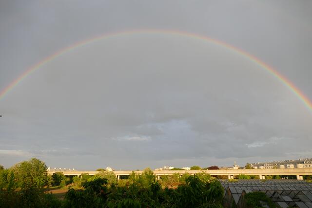 Auf dem Gelände befinden sich auch Gärtnereien und Grünland. | Foto: Nikolaos Chatzioannidis