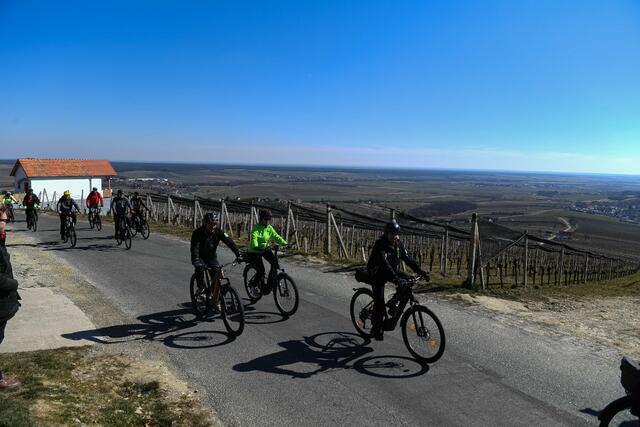 Foto: Burgenland Tourismus/Andi Bruckner