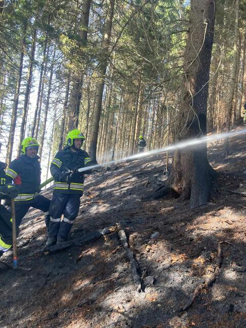 Foto: Feuerwehr Frankenfels