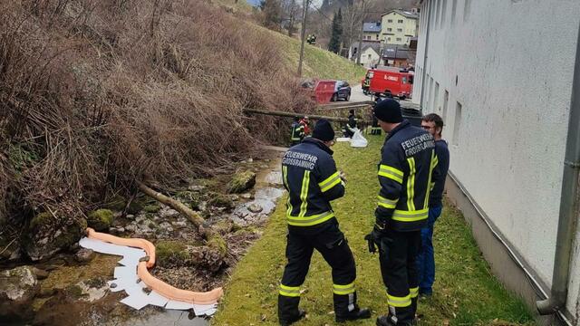 Fotos: FF Trattenbach