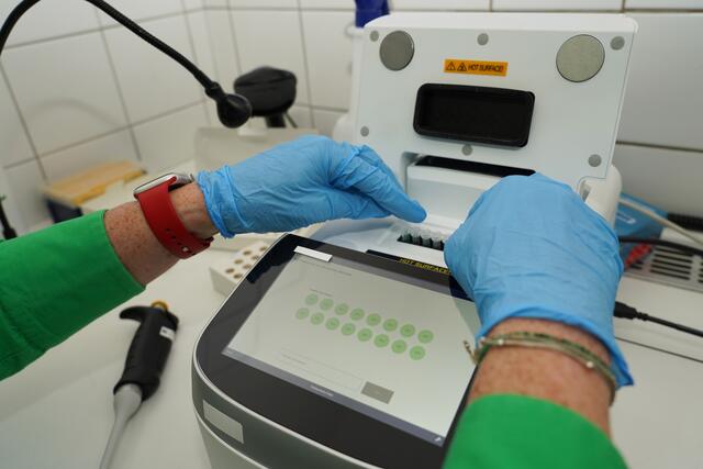 Mit einem Point of Care-Gerät können PCR-Tests innerhalb kürzester Zeit direkt von der Apotheke ausgewertet werden.  | Foto: Land Salzburg/Sophie Huber-Lachner
