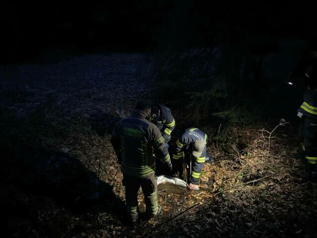 Aufgrund einer defekten Hydraulikleitung wurde gestern ein Forstweg und ein Bach in Schratteneck durch Öl verunreinigt. Die beiden Feuerwehren Nussbaum und Ried waren im Einsatz. 
 | Foto: FF Ried