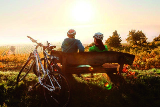 Wer braucht schon ein Auto? Im Mostviertel sind Sie auch perfekt mit Rad, Zug und Bus unterwegs. | Foto: Mostviertel Tourismus/schwarz-koenig.at
