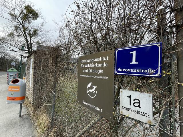 Hier wird geforscht: Savoyenstraße 1.  | Foto: Michael J. Payer