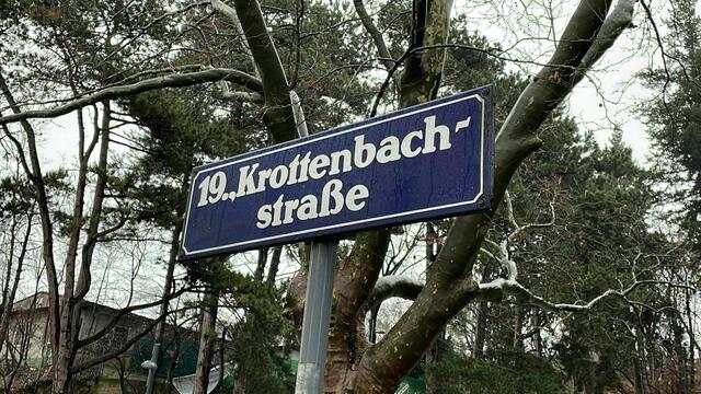Ein möglicher Radweg in der Krottenbachstraße polarisiert immer wieder. Nun sollen die Menschen darüber ihre Meinung agbeben. | Foto: Johannes Reiterits