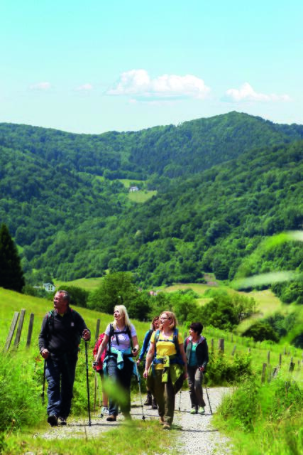 "Aufi geht's!": Wandern in Lilienfeld | Foto: Mostviertel Tourismus/weinfranz.at