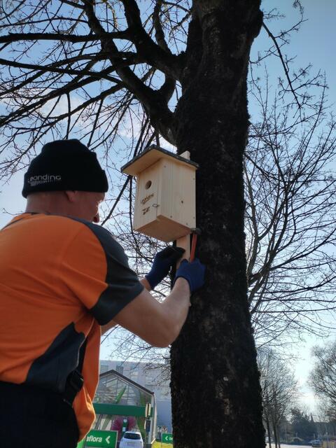 Foto: Stadtservice Leonding