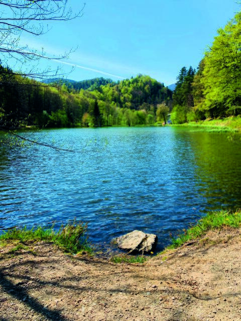 Idyllische Ruhe in der Marktgemeinde Hohenberg | Foto: Bianca Vonwald