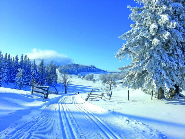 Im Winter ein Traum: Die Loipe in Badzell im Halbachtal | Foto: privat