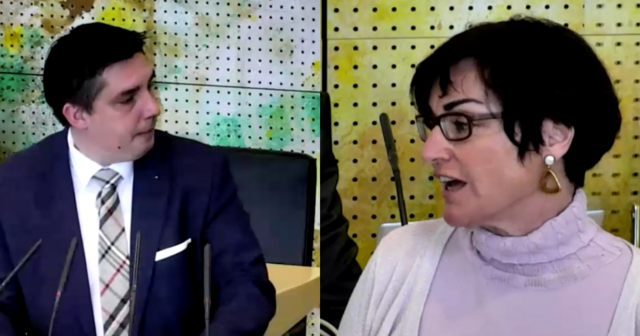 Christoph Staudacher (FPÖ) fragte, Gesundheitsreferentin Beate Prettner (SPÖ) antwortete im Rahmen der "Aktuellen Stunde".  | Foto: MeinBezirk.at/Screenshots