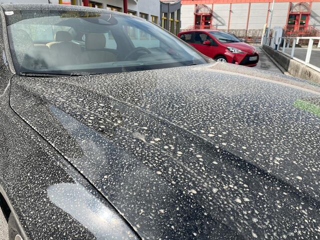 Wenn das Auto voll mit Saharastaub ist, empfiehlt der ÖAMTC der Waschanlage einen Besuch abzustatten.  | Foto: Aloisia Gurtner/ÖAMTC