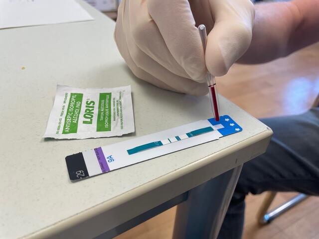 Das entnommene Blut wird auf den Teststreifen aufgeträufelt.  | Foto: sm