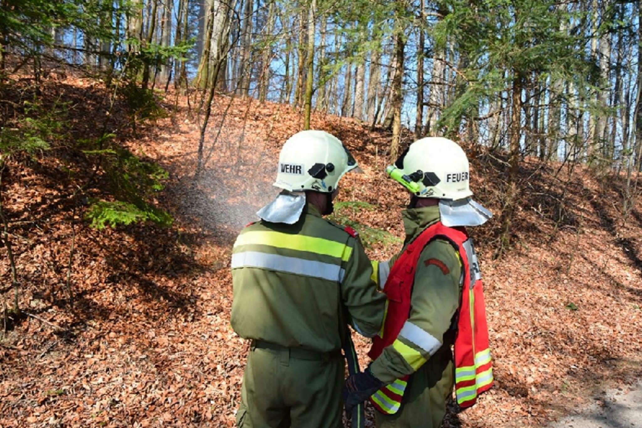 Waldbrandverordnung in Kraft Trockenheit für Gefahr von Waldbränden Enns Waldbrandverordnung in Kraft Trockenheit für Gefahr von Waldbränden Enns