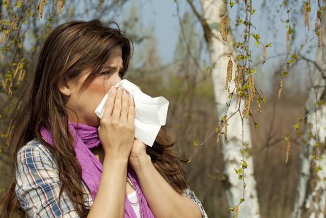 Auf Allergiker kommt eine starke Pollensaison zu. | Foto: drubig-photo/Fotolia