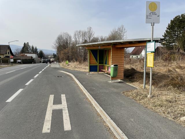 Anrainer beklagen die "Wegrationalisierung" der Bushaltestelle Schirgi. Man komme öffentlich nicht mehr in den Liebocher Ortskern. | Foto: MeinBezirk.at