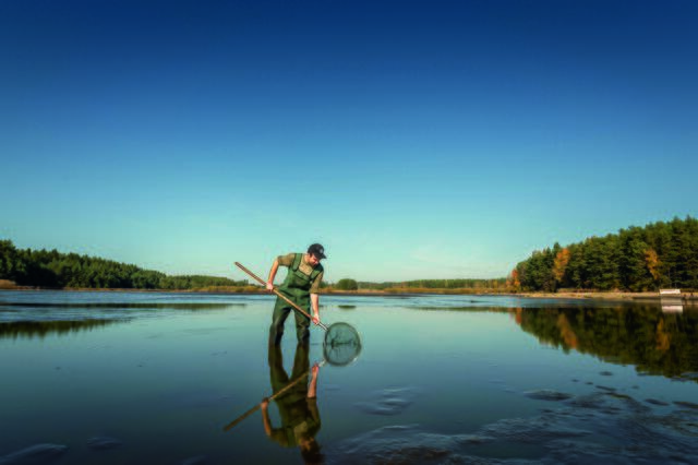 Die Waldviertler Teiche sind der ideale Platz zum Abschalten. Und vor allem sind sie voller Fische. | Foto: Waldviertel Tourismus/Studio Kerschbaum
