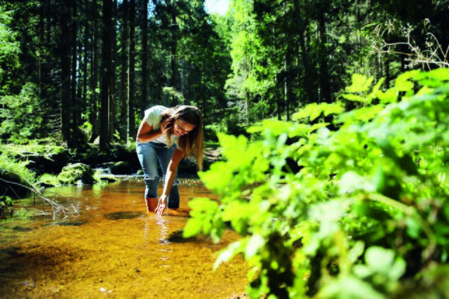 Immer ein Bacherl in der Nähe: Sommer im Waldviertel ist einfach "cool". | Foto: Waldviertel Tourismus, weinfranz