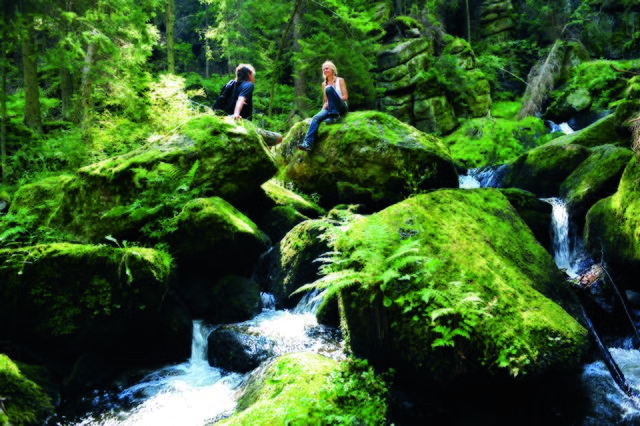 Plätze dieser mystisch-idyllischen Art gibt's im Waldviertel zu Hauf. Entdecke dein Lieblingsplatzl. | Foto: Waldviertel Tourismus/Robert Herbst