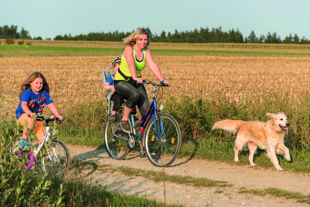 Familienzeit genießen - in Vitis im Waldviertel | Foto: Gemeinde Vitis
