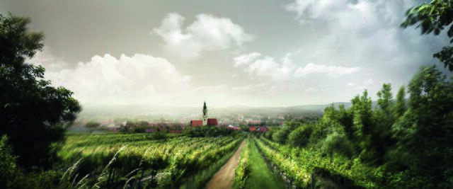 Österreichs größte Weinstadt: Langenlois.  | Foto: Robert Herbst/Langenlois