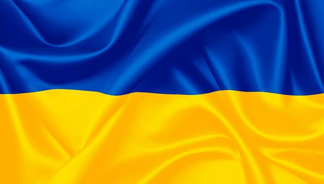 Die Datenerfassung der Ukraine-Kriegsvertriebenen erfolgt über die Hotline 059133 10 10 16 . | Foto: pixabay