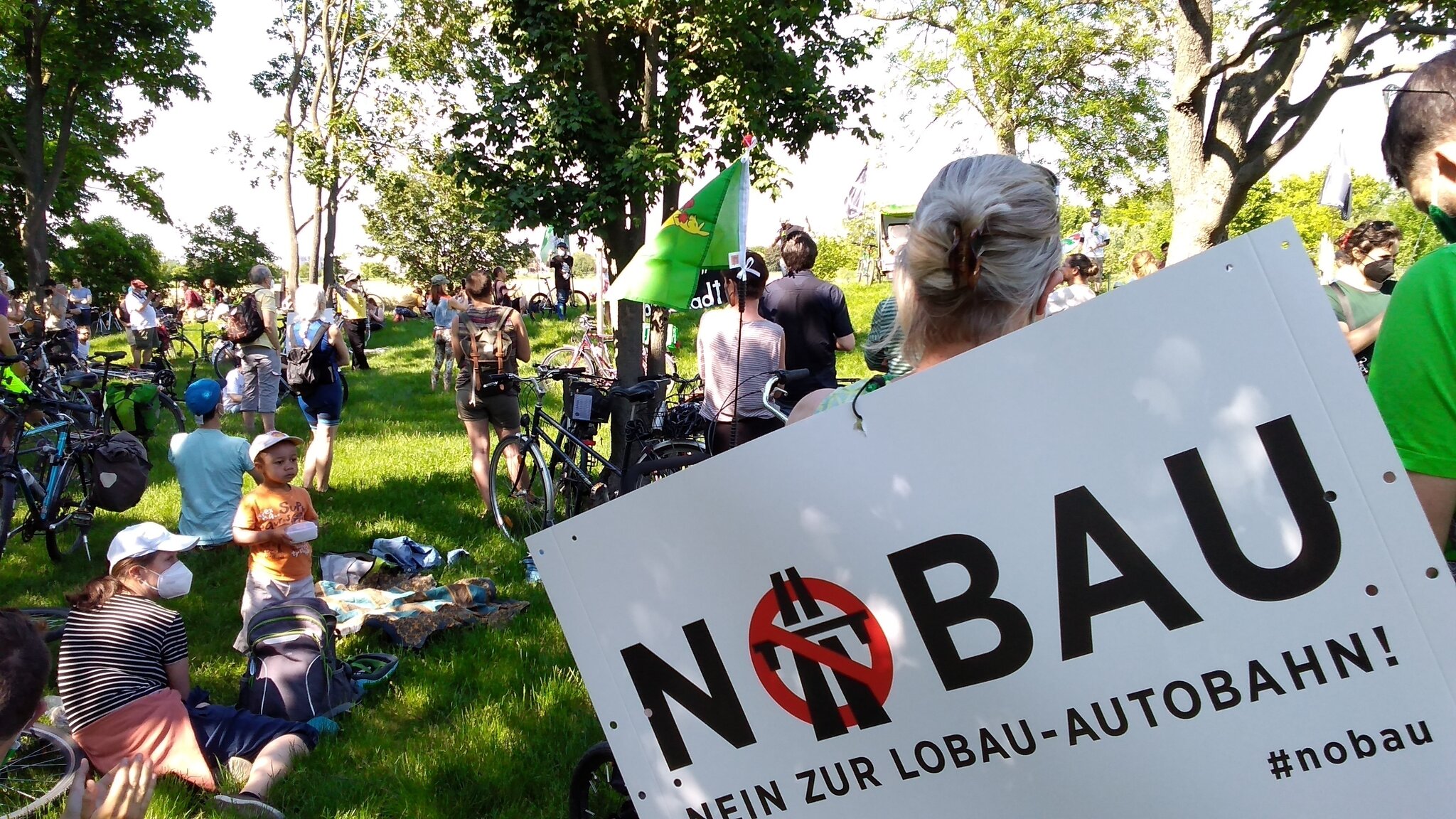 Verwunderlich Lobau Aktuelle Nachrichten Bilder