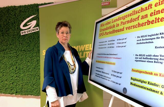 Petrik fragt nach der Gegenleistung für den günstigen Preis des Gründstücks. | Foto: Grüne Burgenland