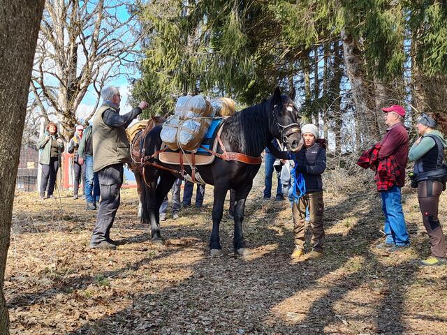 Der Verein Felbertauernsamer Mittersill führte seinen ersten Pinzgauer Säumerkurs durch – gemeinsam der deutschen Säumer Akademie und der Landwirtschaftlichen Fachschule Bruck. | Foto: Verein Felbertauernsamer Mittersill