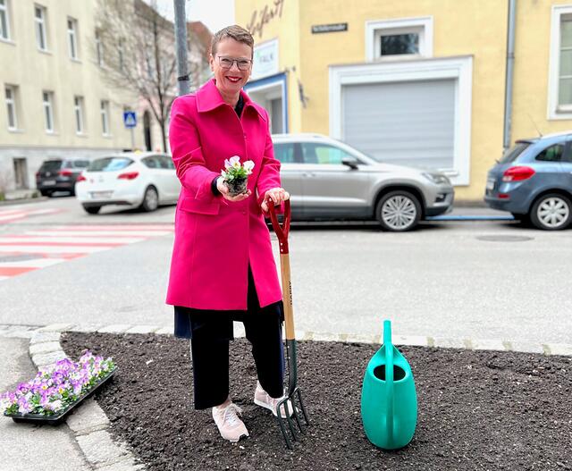 Ziel der Initiative ist es, die Stadt Linz grüner zu machen. | Foto: Stadt Linz