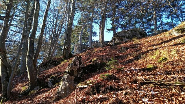Noch eine letzte, steile Etappe hinauf zum Gipfel! ... | Foto: S.Plischek
