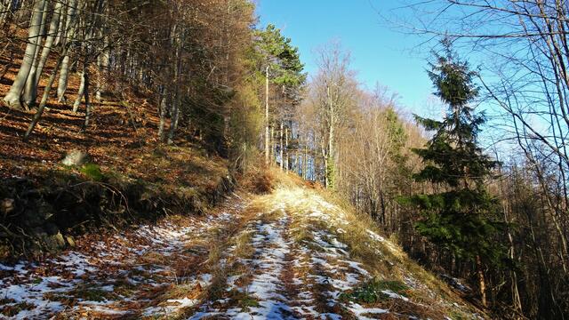... führt der Weg über eine leicht begehbare, ansteigende Forststraße ...  | Foto: S.Plischek
