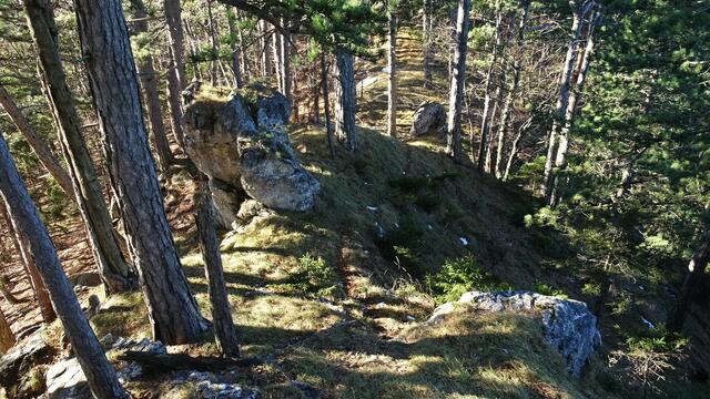 ... bis wir zur Forststraße absteigen können, die uns ... | Foto: S.Plischek