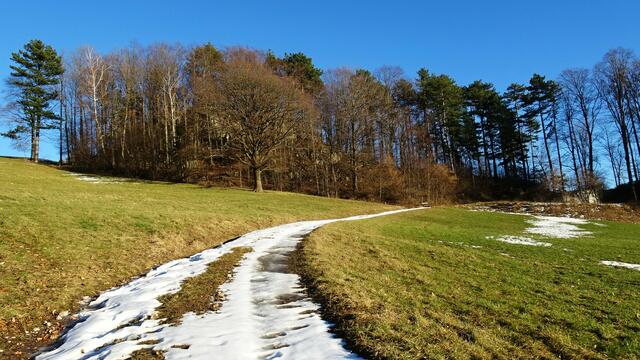 ... machen uns auf den Rückweg nach Furth. ... | Foto: S.Plischek
