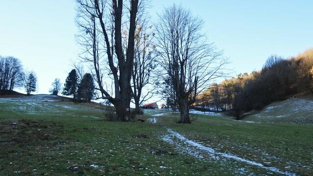 Rastplatz kurz vor Amöd. ... | Foto: S.Plischek