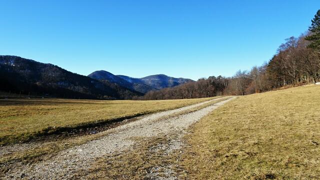 Nach ca. 1/2 bis 3/4 Stunde (je nach Fotostopps) erreichen wir den Wiesensattel Himmelsreith und biegen rechts in den Wald ab, zum Aufstieg auf den Gaissteingipfel. ...
 | Foto: S.Plischek