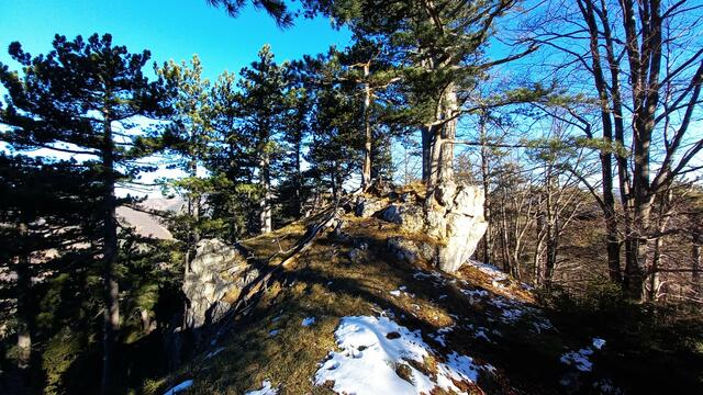 Ankunft am Kirchwaldsteingipfel (789 m ü.A.) ...  
&gt;&gt;&gt; Link zum Pendantfoto 1 - Gipfel Kirchwaldstein &lt;&lt;&lt; | Foto: S.Plischek