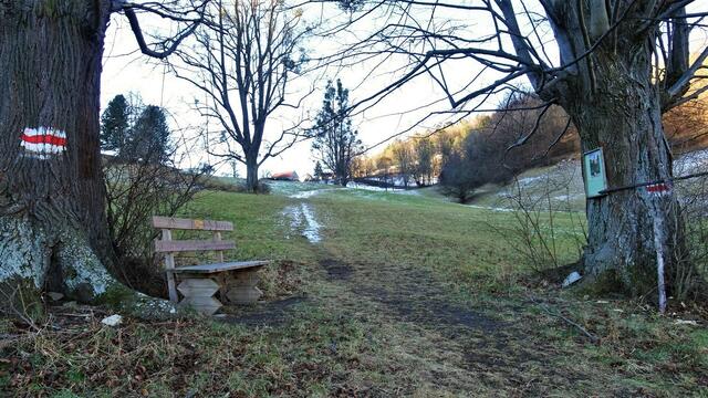 Am Rastplatz mit Blick hinauf zum Amöd-Hof. ...
&gt;&gt;&gt; Pendantfoto: Blick in die entgegengesetzte Richtung hinunter auf Furth - Link zum Pendant &lt;&lt;&lt; | Foto: S.Plischek