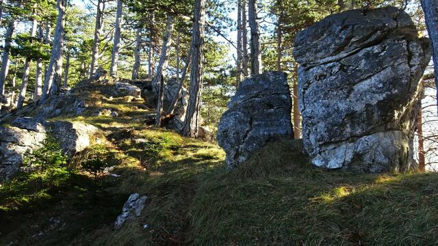Nach einer Rast und Fotopause verläuft die weitere Wanderroute zuerst auf dem Bergrücken des Kirchwaldsteins ... | Foto: S.Plischek