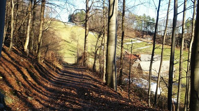 ... kehren zur Gaissteinalm zurück, ... | Foto: S.Plischek