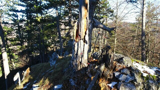 Bei sehr starkem Wind auf dem Gipfel des Kirchwaldsteins (789 m ü.A.) ... 
&gt;&gt;&gt; Link zum Pendantfoto 2 - Gipfel Kirchwaldstein &lt;&lt;&lt; | Foto: S.Plischek