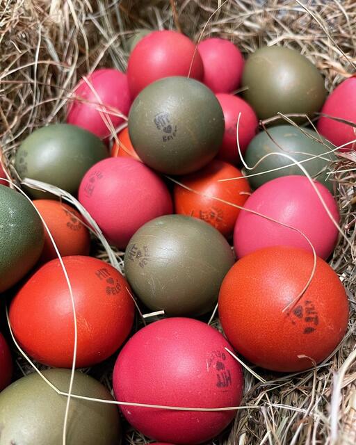Für Ostern kann man bunt gefärbte Eier vorbestellen. | Foto: Panorama Ei
