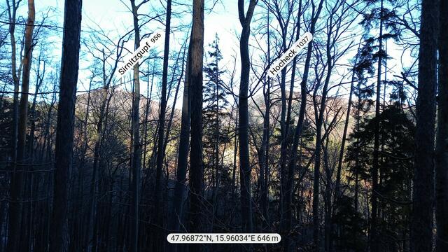 Während wir über unmarkiertes Gelände direkt den Berg hinaufgehen, sehen wir durch den Wald hinüber zum Sirnitzgupf und Hocheck. Der Aufstieg wird nun steiler. ...
 | Foto: S.Plischek