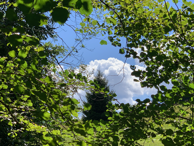 Eine Idylle am Radniger Naturlehrpfad