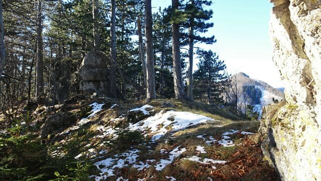 Vom Kirchwaldstein bietet sich ein schöner Blick hinüber zum Gaisstein.  ... | Foto: S.Plischek
