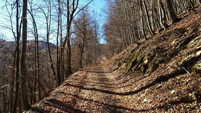 Hunde sind an der Leine zu führen. Ebenfalls wird um ein angemessenes Verhalten bei der Durchquerung des Wildtiergeheges gebeten.
 | Foto: S.Plischek