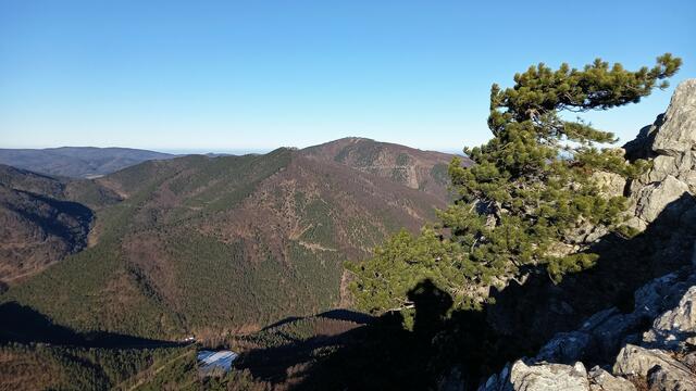 Sirnitzgupf - Hocheck ... | Foto: S.Plischek