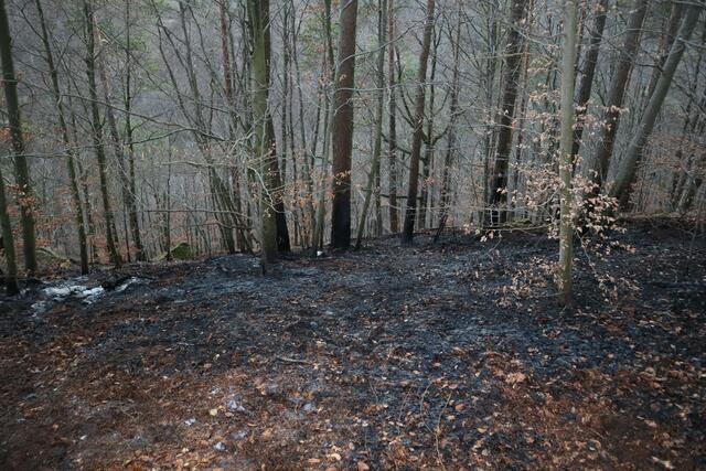 Immer wieder mussten aufflammende Glutnester bekämpft werden. | Foto: Berufsfeuerwehr Linz