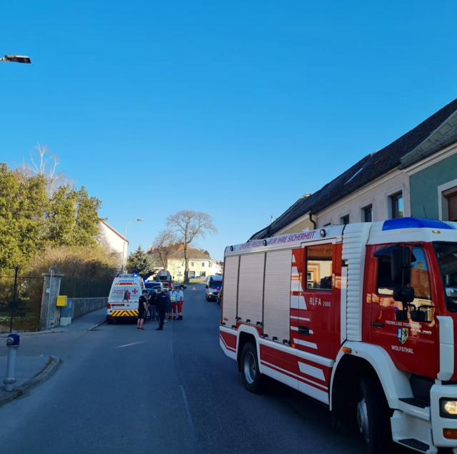 Foto: Freiwillige Feuerwehr Hainburg 